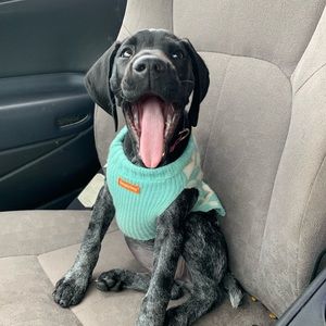 Meet your Posher, Karalynn